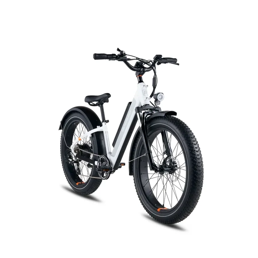 Rad Power Bikes RadRover 6 Plus Fat Tire – El-fatbikes hos Kobolt Bikes